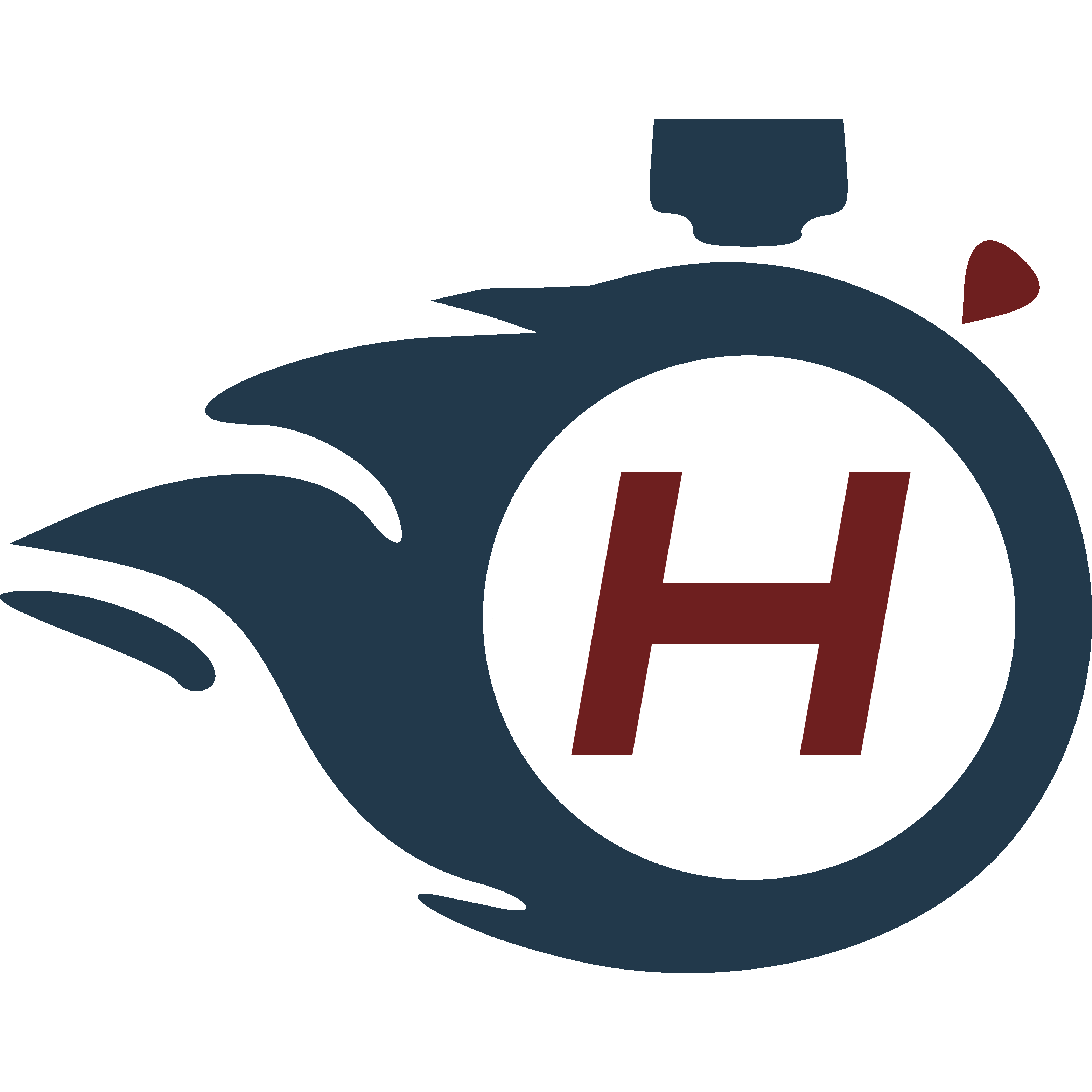 Тайм лабс. HGT logo.